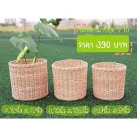 ราคา กระถางต้นไม้ กระถางต้นไม้หวายชุด3ใบ (6656053923)