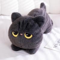 ราคา Funtoys ของเล่นตุ๊กตาแมวดำรูปการ์ตูนน่ารักสำหรับตกแต่งโซฟา หมอนตุ๊กตาแมวนุ่มๆ ของขวัญวันเกิดสำหรับเด็ก (24892356967)