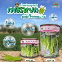 ราคา เมล็ดพันธุ์พริกหนุ่มขาว เพชรหยก 50 กรัม (18471554340)