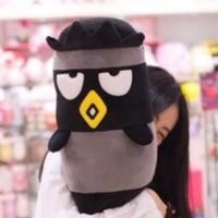 ราคา หมอนข้างSanrio แท้จากshop Sanrio (2513562482)