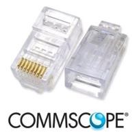 ราคา RJ45 AMP Connector Cat5e Commscope Connector ขายปลีกเดิม (21776853535)