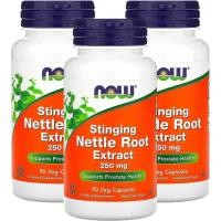 ราคา Now Foods Stinging Nettle Root Extract 250mg, Veg-Capsules, 90-Count (แพ็ค 3 ชิ้น) (24448314448)