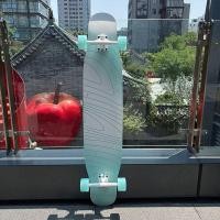ราคา RNB Longboard Professional Board DC สาวผู้ใหญ่เด็กแปรง Street Walking Stage Board แบนดอกไม้สี่ล้อเริ่มต้นสเก็ตบอร์ด (45112999718)
