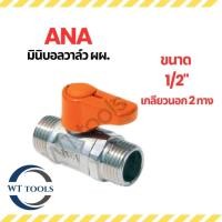 ราคา ANA มินิบอลวาล์ว เกลียวนอก 2 ทาง มินิบอลวาล์วเกลียวนอก (ผ.ผ.) ขนาด 1/2" ( 4 หุน) ของแท้ (43757300853)