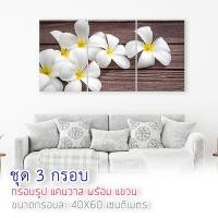 ราคา กรอบลอยแคนวาส ภาพแต่งบ้าน ภาพดอกลีลาวดี ภาพพิมพ์ แคนวาสแท้ กรอบรูปติดผนัง ภาพติดผนัง กรอบรูปแต่งบ้าน C0006 (4012510228)