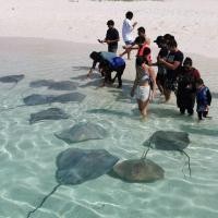 ราคา ทัวร์มัลดีฟส์ Voucher ทัวร์มัลดีฟ Maldives ดำน้ำฉลาม เกาะมาฟูชิ 15,900 บาท/ท่าน (29144736943)