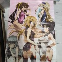 ราคา Infinite Stratos (IS) สไลเดอร์นางเอกเต็มรูปแบบ (55307274713)