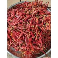 ราคา พริกแห้งมีก้าน เผ็ด สีแดงสด พริกแดงจินดา 1กก 199 บาท (22974597138)
