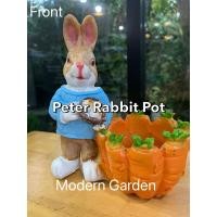 ราคา กระถางต้นไม้ Peter Rabbit Pot กระถางแคคตัส เรซิ่นไฟเบอร์กลาสทนแดดฝน ตุ๊กตากระต่ายแต่งสวนสไตล์อังกฤษ (22677431359)