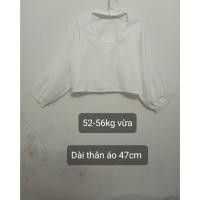 ราคา [2HAND][LIQUIDATION] เสื้อครอปแขนยาวสีขาวสวยมากพร้อมปกโชคเกอร์ (49512852708)