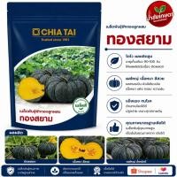 ราคา ฟักทองทองสยาม เจียไต๋ 100 กรัม (57313901579)