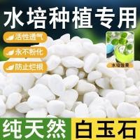 ราคา ร้อน-ขาย จัดส่งที่รวดเร็ว ทิ้งบูติกไฮโดรโพนิหินสีขาวอนุภาคขนาดเล็กกรวดฝนดอกไม้หินตู้ปลาภูมิทัศน์กระถางต้นไม้ลานปูกระถางดอกไม้ (27745492360)