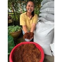 ราคา ขุยมะพร้าวละเอียด พร้อมใช้ เนื้อขุยละเอียด อุ้มน้ำดี ระบายน้ำดี สำหรับเพาะเมล็ดและปลูกต้นไม้ บรรจุ 1 กระสอบ น้ำหนักประมา (49614815019)