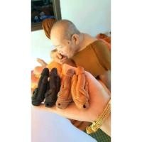 ราคา ปลัดขิกเพชรพญาธรหลวงพ่อปุ่น (23877584816)