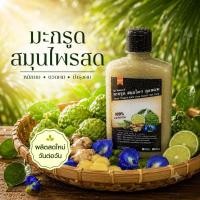 ราคา สูตรโบราณ มะกรูดสมุนไพร ORGANIC 300ml มะกรูด ใบหมี่ อัญชัน ขิงบอระเพ็ดลดคัน แชมพูลดผมร่วง ลดรังแค แชมพูสมุนไพร (12631180256)
