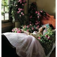 ราคา หัวน้ำหอม กลิ่น Charming princess 003780 วัตถุดิบเครื่องสำอางค์ (20720627031)