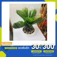 ราคา กระถางดอกไม้ตั้งโต๊ะ แบบที่4 (6161571750)