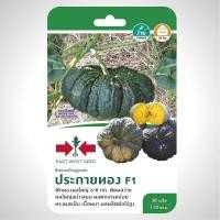 ราคา ฟักทองผลใหญ่ ประกายทอง 30เมล็ด ศรแดง (3537754566)