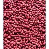 ราคา SY เมล็ดพันธุ์ถั่วลิสง เมล็ดแดง ถั่วลิสง ขนาด1kg ขายเป็นกิโล 花生 (54251947319)