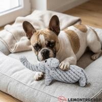 ราคา LEMONTREE9GP ของเล่นเชือกสุนัข, เชือกฝ้ายแข็งของเล่นเคี้ยวฟัน, นวดเท้า Multi Knot Soft Tough Braided Elephant Shaped ของเล่นสุนัขฟัน Plaque ทําความสะอาด (45714915281)