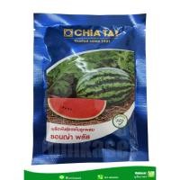 ราคา เมล็ดพันธุ์แตงโม ซอนญ่า พลัส (40 กรัม) เจียไต๋ (11144300008)