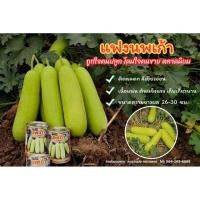ราคา แฟงนพเก้า แบบซองทดลองปลูก แฟงผลดก แฟงลูกผสม (52712541285)