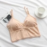 ราคา บรา บราแฟชั่น ตะขอหลัง ฟรีไซส์ สปอร์ตบรา ครอป มีฟองน้ำ (8808) (27929489509)
