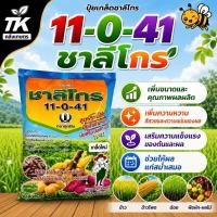 ราคา ชาลีโกร 11-0-41 ปุ๋ยเกล็ดสูตรมันสำปะหลัง 1 กก. เร่งหัว ขยายหัว เพิ่มแป้ง ละลายน้ำเร็ว ใช้ได้กับมันสำปะหลังและพืชหัว (55414038131)