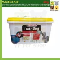 ราคา Nutribird A19 H.E. อาหารลูกป้อนสูตรโปรตีนและไขมันสูง ขนาด 3 Kg. (4873461719)