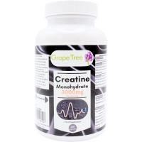 ราคา Grape Tree Creatine Monohydrate 3000มก. 120 แคปซูล ครีเอทีน . พอร์ตประสิทธิภาพความเข้ม Gym for Men & Women – 20 Day ply. (50564437930)