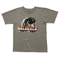 ราคา NIKE BRIAN URLACHER NFL. (เสื้อยืดมือสอง) (5064230138)