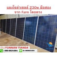 ราคา แผงโซล่าเซลล์ 230w มือสอง จากฟาร์มโดยตรง คุณภาพดี ยี่ห้อ YUNNAN TIANDA (มือ2)พิกัดบางนา (19392206679)