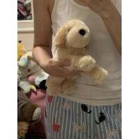 ราคา ตุ๊กตาน้องหมาโกลเด้น Golden Retriever ท่านอน ขนาด 14 นิ้ว ป้าย Animal Alley (40572703043)