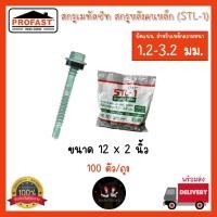 ราคา สกรูเมทัลชีท สกรูยิงหลังคาเหล็ก (STL-1) สำหรับแปเหล็กกัลวาไนซ์และเหล็กรูปพรรณ ขนาด 12x2 นิ้ว (47152140355)