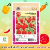 ราคา บานไม่รู้โรย สีแดง เมล็ดพันธุ์ดอกบานไม่รู้โรย ดอกไม้ Amaranth Gomphrena (20090188282)