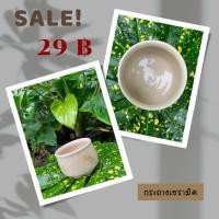 ราคา กระถางดินปั้น กระถางต้นไม้มือสอง กระถางเซรามิค กระถางจิ๋วลายไก่ (26124138686)