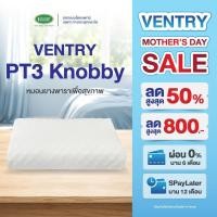 ราคา Ventry PT3 Knobby หมอนสูงต่ำพร้อมปุ่มนวดสัมผัส หมอนเพื่อสุขภาพ ยางพาราธรรมชาติแท้100% (606447732)