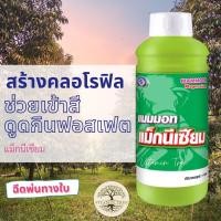 ราคา แม็กนีเซียม เข้าสี สร้างคลอโรฟิล แมมมอท แม็กนีเซียม 1ลิตร (6352635867)
