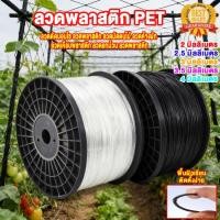 ราคา ลวดพลาสติก PET 2mm/2.5mm/3mm/3.5mm/4mm งานเกษตร ลวดดัดบอนไซ ลวดพลาสติก ลวดมัดตนไม้ ลวดค้างผัก ลวดเคือบพลาสติก ลวดยกม้วน (28394804849)