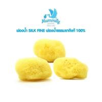 ราคา ฟองน้ำธรรมชาติแท้100%ฟองน้ำ SILK FINE ฟองน้ำอาบน้ำเด็ก แบรนด์Mummily (22278213098)