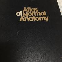 ราคา หนังสือ atlas of normal anatomy (5340395626)