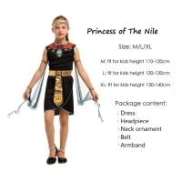 ราคา ชุดแฟนซีเจ้าหญิงอียิปต์ ชุดคอสเพลย์เด็ก ธีมโบราณ ชุดเจ้าหญิง Cleopatra Egyptian Princess of The Nile Fancy Costume (25746043111)