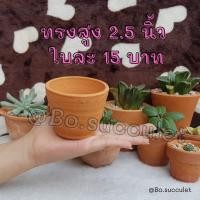 ราคา กระถางดินเผา ทรงสูง 2.5 นิ้ว ไม้อวบน้ำแคคตัส ปลูกฮาโวเทีย ใส่ต้นไม้จิ๋วเล็ก เครื่องปั้นดินเผา ของแต่งบ้าน จัดสวน (14857540375)