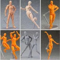 ราคา C Draw Male Female Movable Model Artit Art Painting Anime Anime Figure Action Figure Model Mannequi (55161077810)
