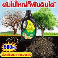 ราคา น้ำยาเร่งรากด่วน ปริมาณ 500ml เร่งโต รากเดิน บำรุงดิน ธรรมชาติ น้ำยาเร่งราก B1เร่งรากเห็นผลไว เพิ่มพื้นที่ผิวราก ลดการใช (53701968906)
