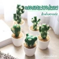 ราคา [พร้อมส่ง] ต้นกระบองเพชร ตกแต่งบ้าน ต้นไม้พลาสติก สำหรับตกแต่ง ต้นไม้ประดับ ต้นไม้ประดิษฐ์ (26784535170)