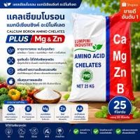 ราคา Calcium Boron Amino Chelates+Mg&Zn แคลเซียมโบรอน แมกนีเซียมซิงค์ อะมิโนคีเลต 25กก. (19045531171)