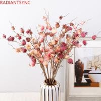 ราคา RADIANTSYNC สาขาทับทิมประดิษฐ์,พลาสติกสมจริงจําลองผลไม้ทับทิม,บอนไซดอกไม้ปลอม Handmade Faux ต้นไม้ปลอมตกแต่งบ้านห้องนั่งเล่น (51106440099)