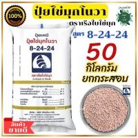 ราคา ปุ๋ยสูตร 8-24-24 ปุ๋ยไข่มุกโนวา ตราเรือใบไข่มุก 50 กิโลกรัม ยกกระสอบ เม็ดปุ๋ยสีชมพู เร่งดอก ผลใหญ่ ลูกดก (27410497434)