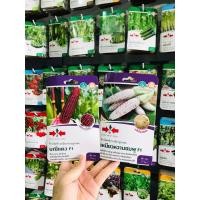 ราคา เมล็ดพันธุ์ข้าวโพด มณีแดง ข้าวโพดเหนียวหวานชมพู 80เมล็ด ศรแดง ข้าวโพด (20691685022)